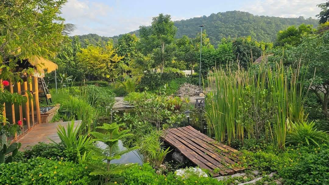 ภาพรวมม่อนตะโก